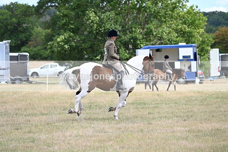 WJ7_5605 - Class 12 Ridden Cob