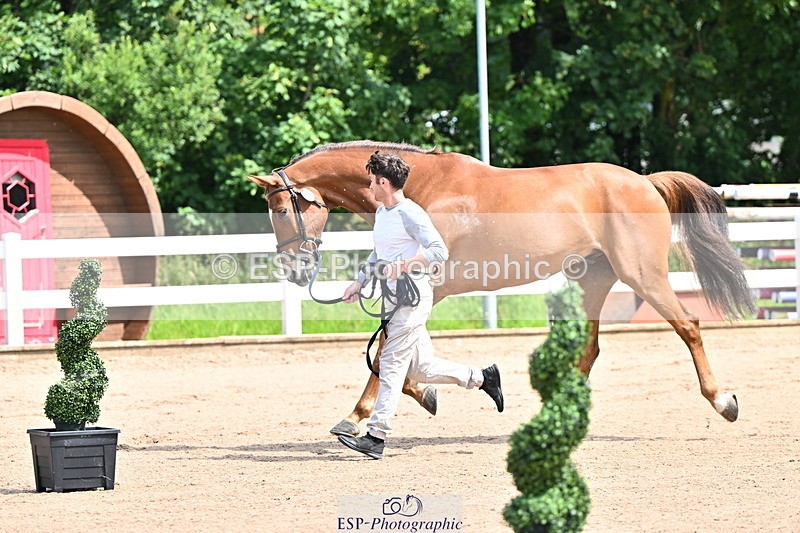 240718A-105237-00924 - Trot Up 11am to 12pm