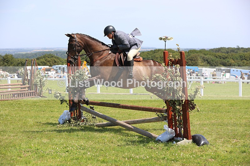 JPP_3013 - Class 22: Working Hunter 70cm