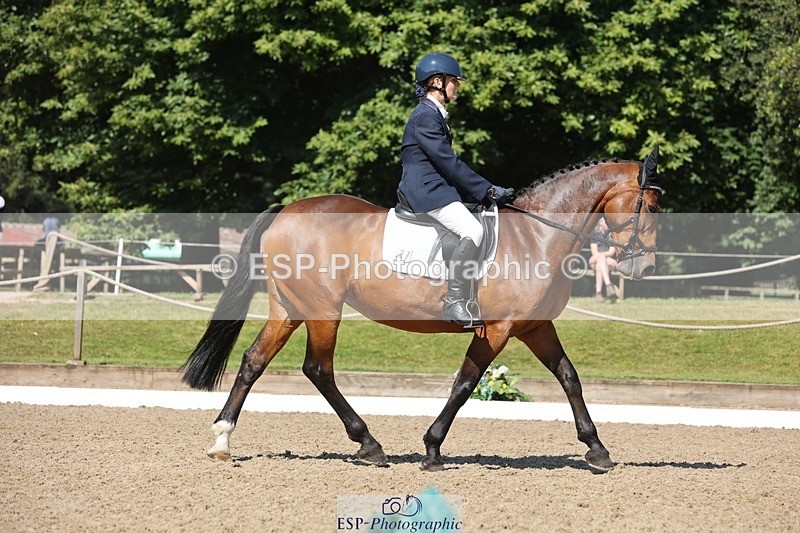 240719-102621-00698 - 227-Jane_Murray-Hebog_Mischief