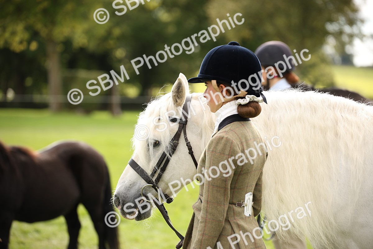 SBM_46384 - S25 - Mature Veteran In Hand