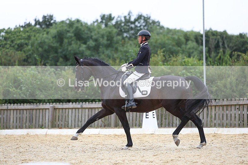 3E7A7262 - Class 9: Elementary 4 2024 - No sections