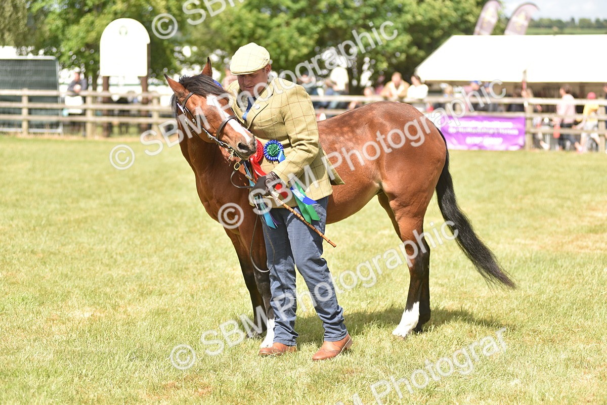SBM_16138 - Class 117-122 - SSADL RIHS Qualifier