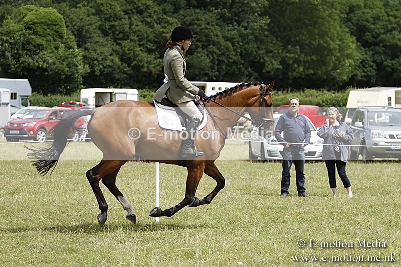 BVR160717-1814 - Ring 3 BVRC Show 16/07/17