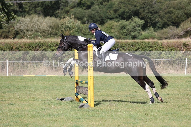 JPP_8900 - Class 2: Trekenning: 80cm Showjumping