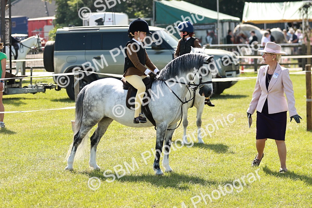 SBM_12704 - Class 106-107 - BSPS LIHS Working Sports Pony