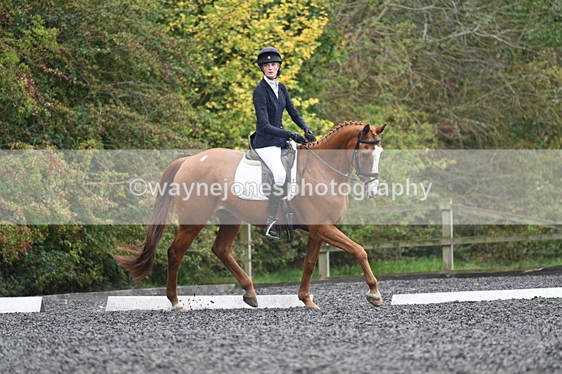 WJ7_6633 - Time 14:49 to 15:14