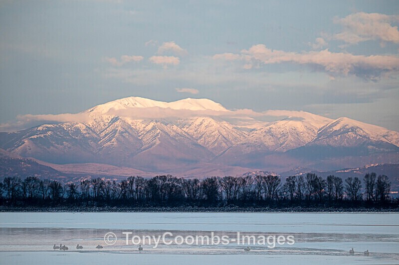 Landscape - Kerkini - Lake Kerkini