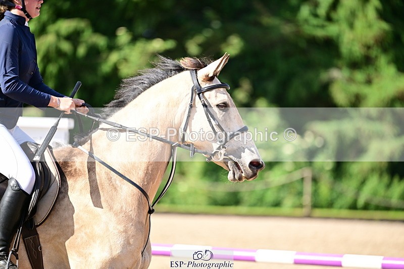260630A-085700-00293 - Cls 24 85cm Nat Am Qualifier