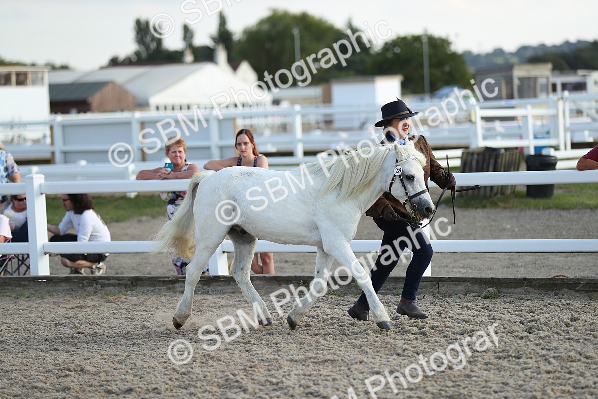SBM_08933 - Class 29 IH Veteran Pony