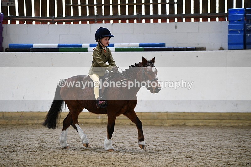 WJ5_6973 - Class 10 Childs Pony