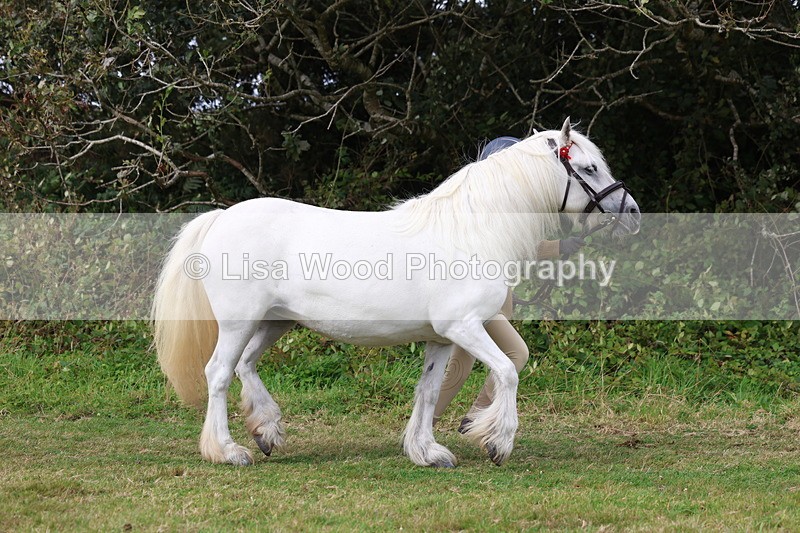 3E7A4591 - Class 16: Best Grass Kept