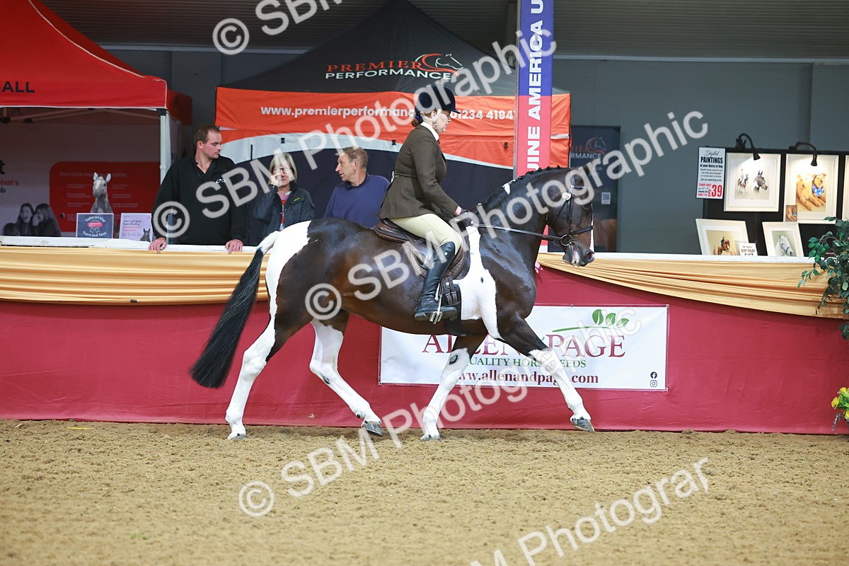 SBM_09618 - Class 102 - HOYS Veteran Qualifier - Ridden Veteran