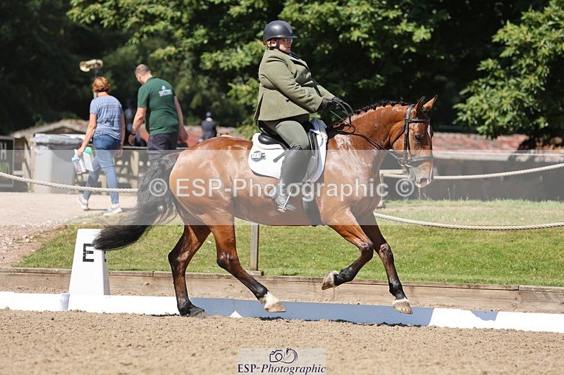 240719-105345-00808 - 169-Marion_Eaves-Indigo_Queen_of_Hearts