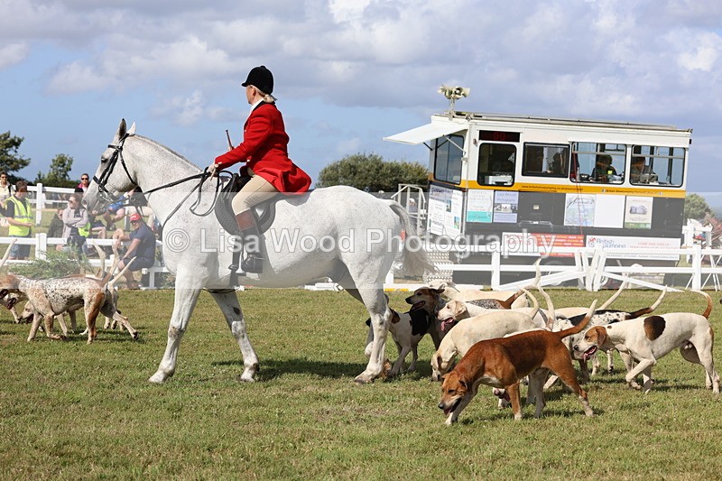 3E7A3426 - Parade of Hounds