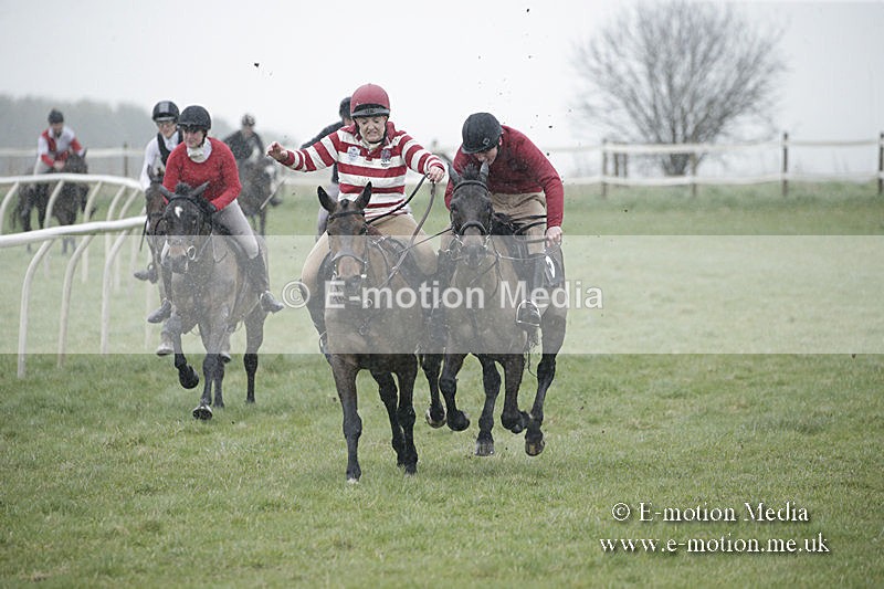 PtP 150320 0009 - New Forest Point-to-Point Larkhill 15/03/20
