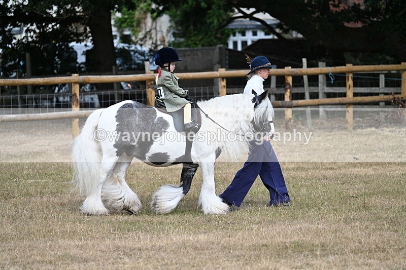 WJ7_6288 - Class 1 Lead Rein Pony