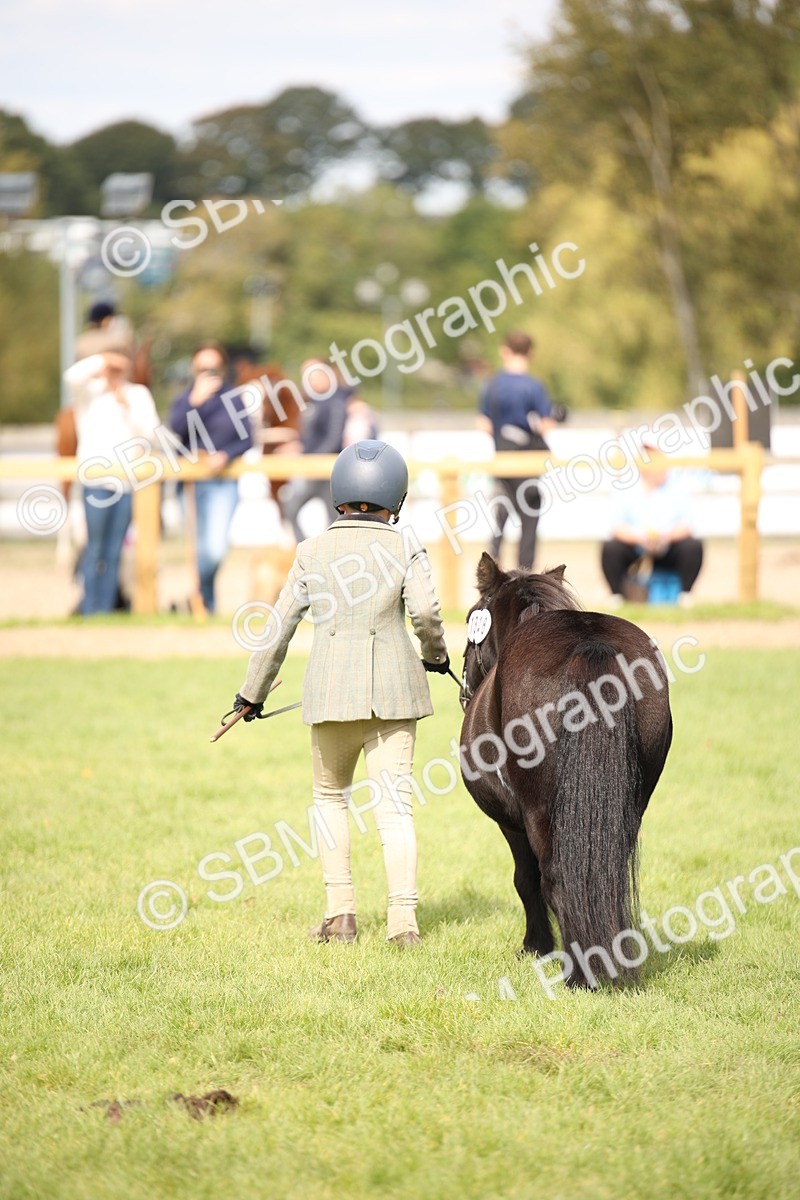 SBM_46353 - S25 - Mature Veteran In Hand
