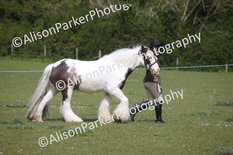 20260426-3258 - Class 27 - Coloured Horses and Ponies