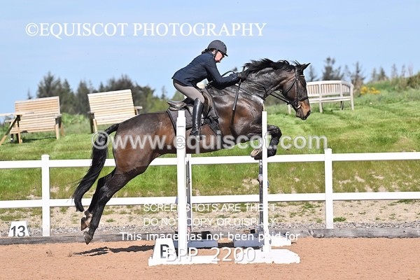 BPP_2200 - CLASS 4. - FRI - Senior Discovery/1m Open