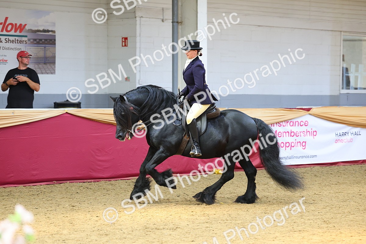 SBM_24118 - Class 905 - Supreme Final - Ridden Veteran
