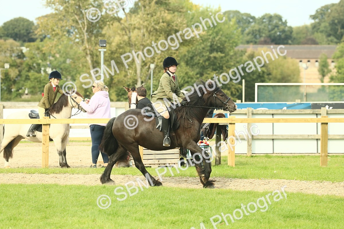 SBM_69353 - S58 - Mini Show Cob Ridden