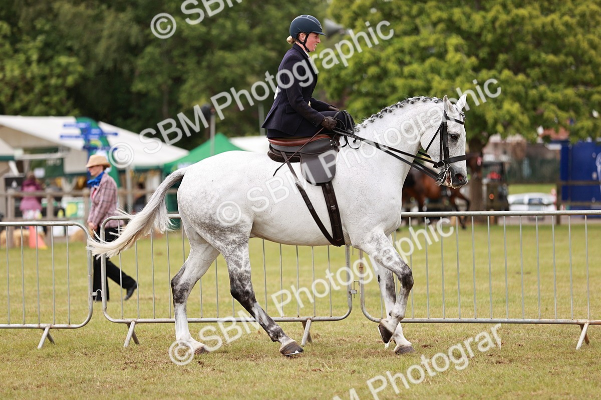 SBM_10971 - Class 81-84 - RIHS Ridden hunters Inc Ladies Hunter