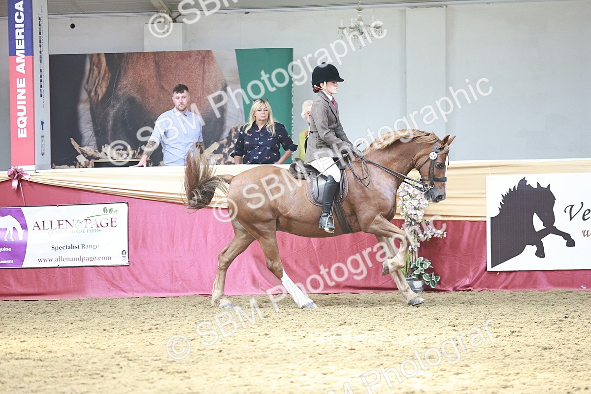 SBM_07137 - Class 10R - Regional Ridden Diamond