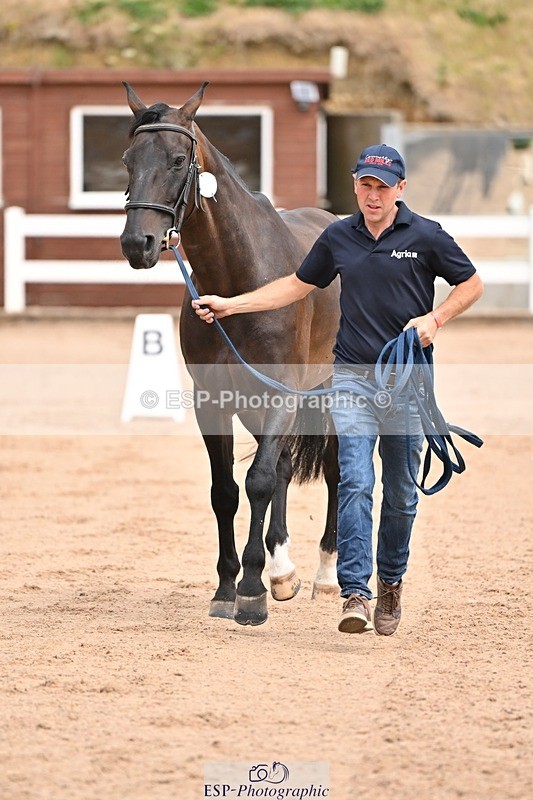 250716-150749-01661 - Trot Up 2.30 to 3.30