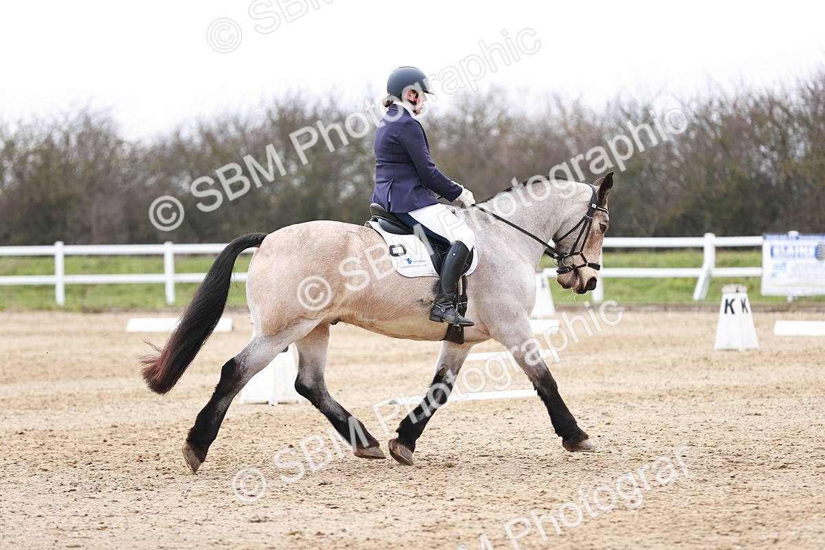 SBM_005213 - Elementary 1