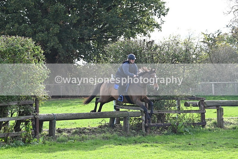 WJ7_0955 - Time 14:27 to 15:11