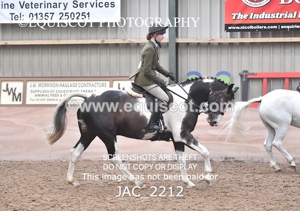 JAC_2212 - CLASS 2 Novice Working Hunter