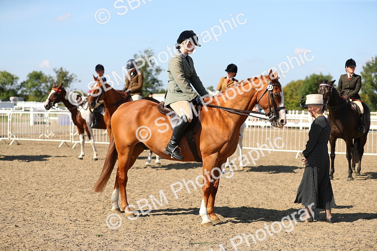 SBM_02361 - Class 43 Ridden Competition Horse/Pony