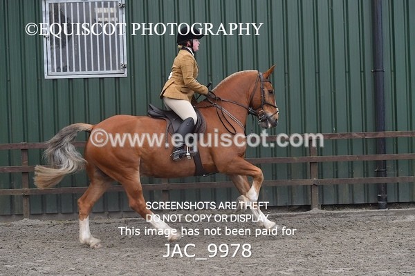 JAC_9978 - CLASS 3 Intermediate Working Hunter (0.70m - 0.85m)