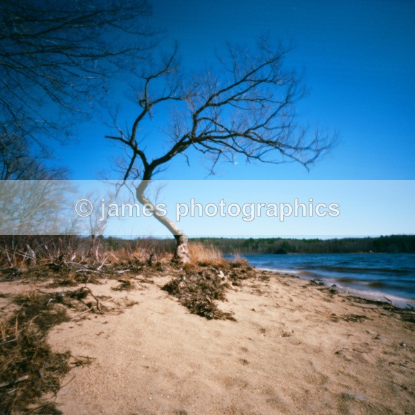 000064130002 - Pinhole Photography