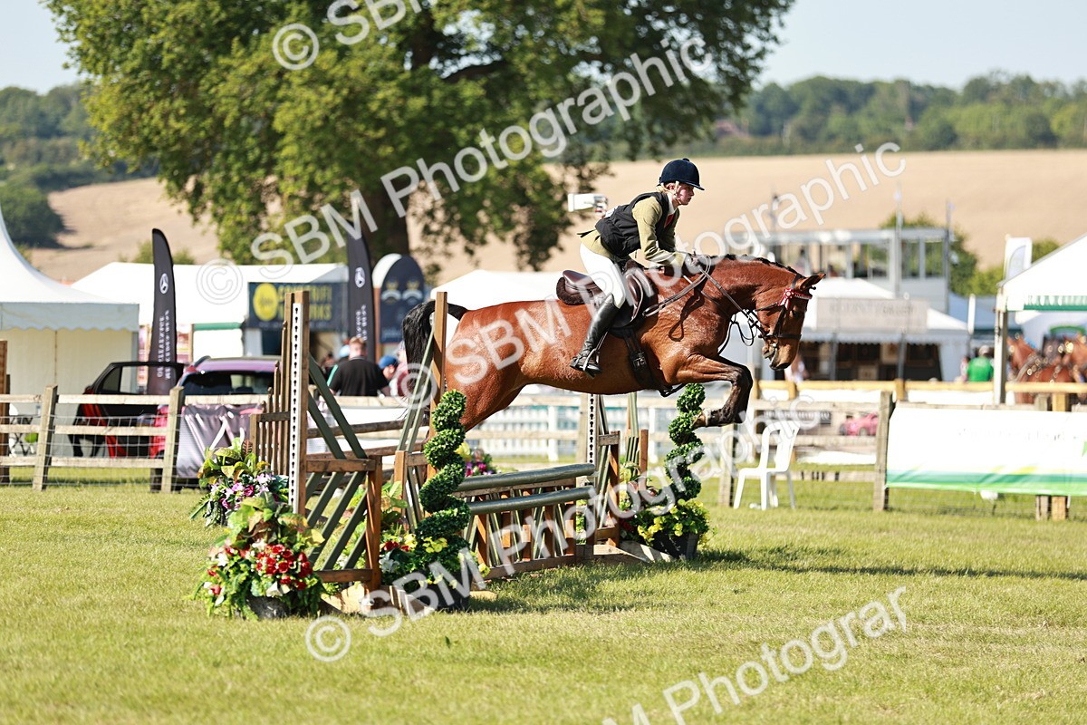 SBM_19127 - Class 115-116 - LIHS BSHA Rising Star Working Hunter & Show Horse