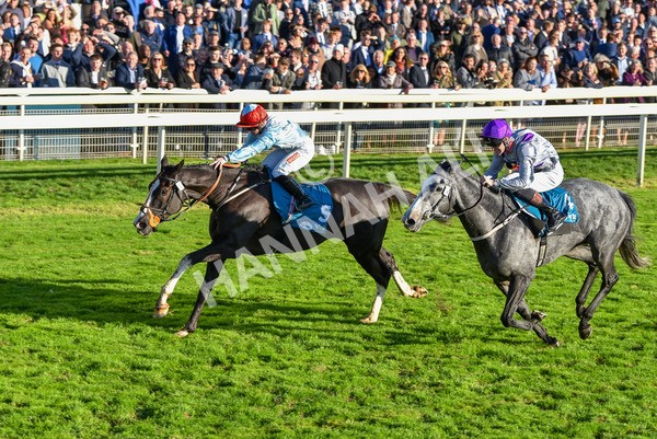 141023-Race 6-Punctuation-1508 - Race 6 4.10pm Coral Get Closer To The Action Handicap