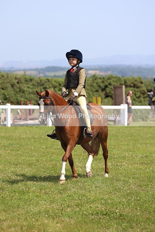 JPP_2490 - Class 21: Working Hunter 60cm