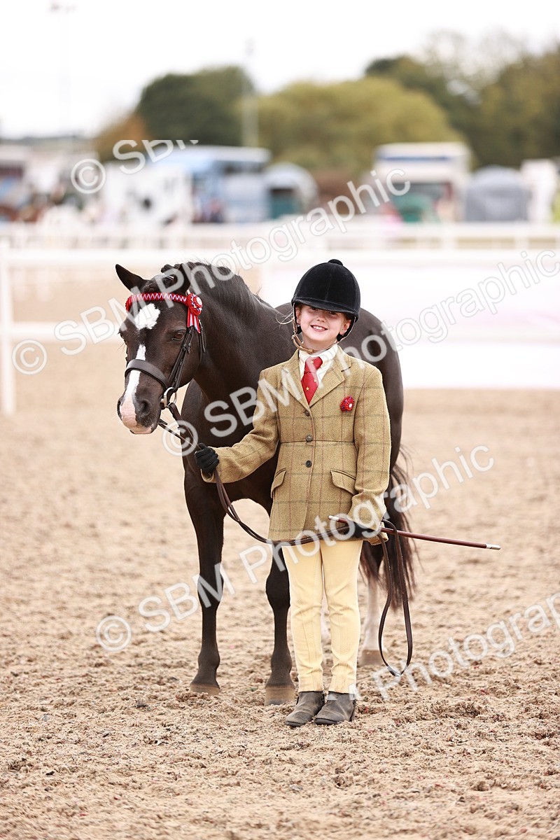 SBM_18559 - Class 421 - Childs Best Friend - Jnr