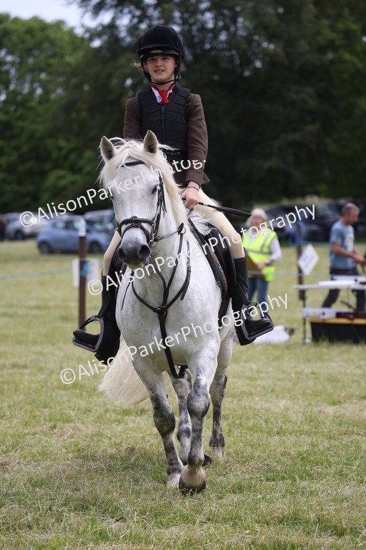 20260614-2982 - Class 22 - Open Working Hunter