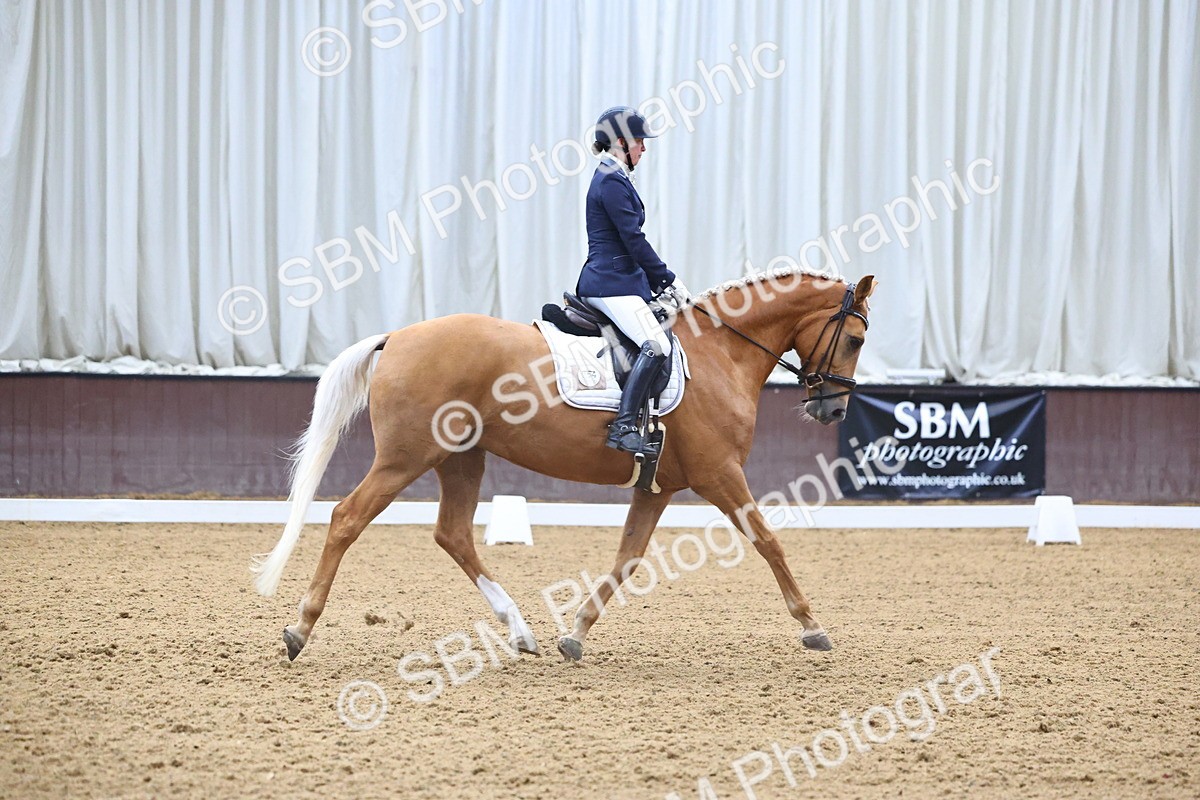 SBM_020890 - Class 11 - P5