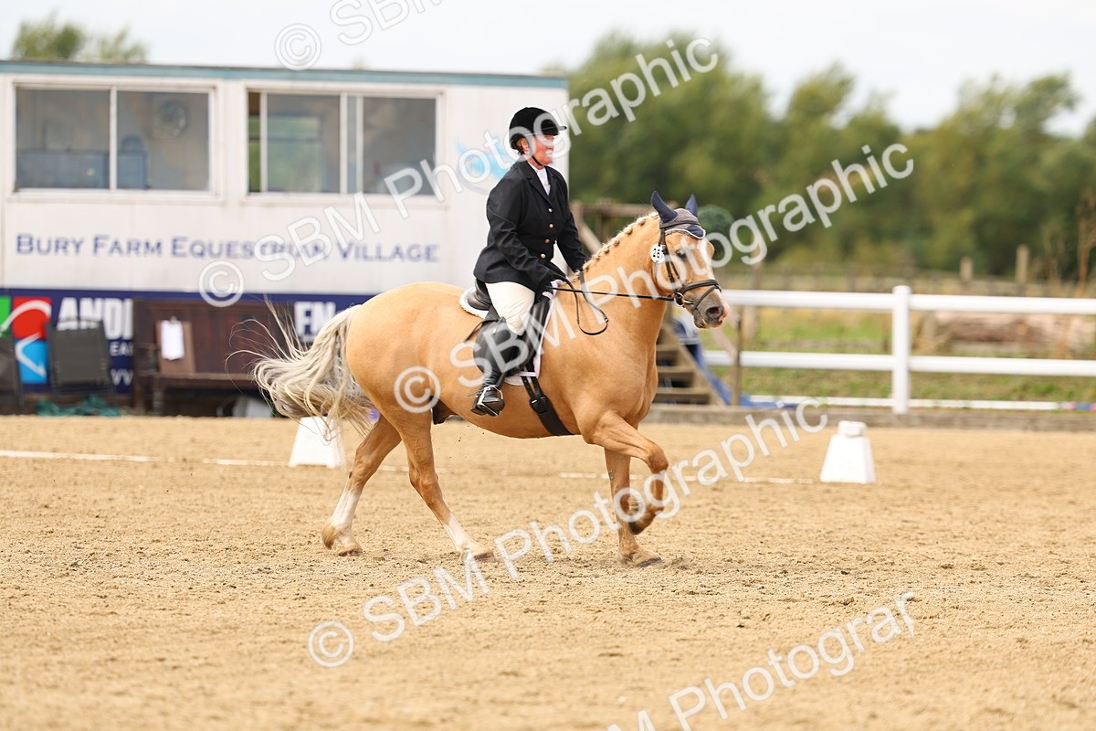 SBM_012230 - Class 2 - Prelim 19 11.39-12.56