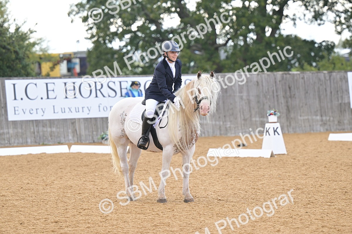 SBM_11231 - D3 - Small Tour Championship Intro 3