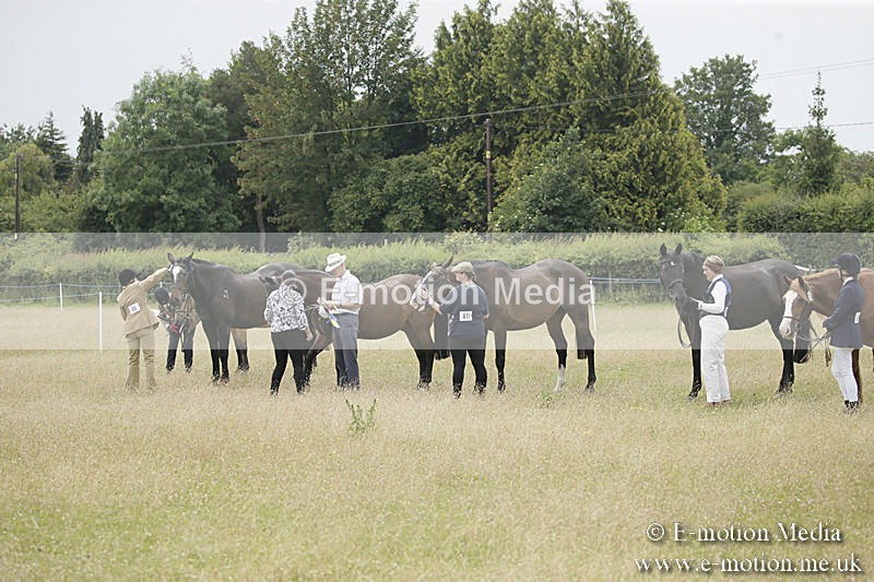 B230619-0584 - Bourne Valley Riding Club Summer Show 23/06/19