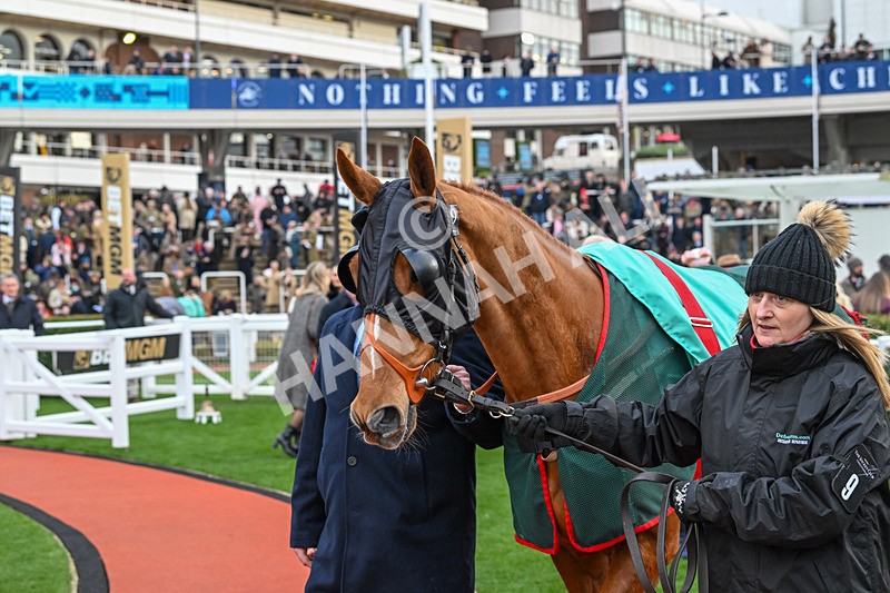 120325-Fringill Dike-WR-7696