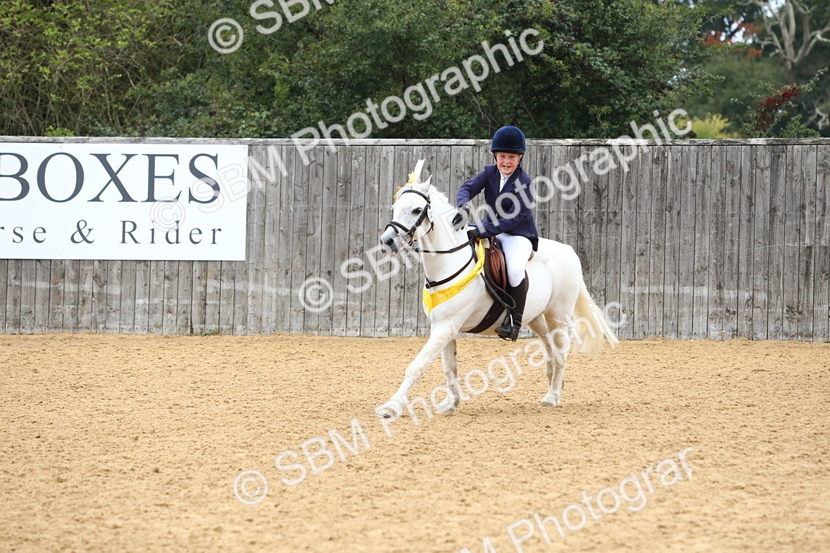 SBM_60172 - J63 - Junior Pony 50cm Championship
