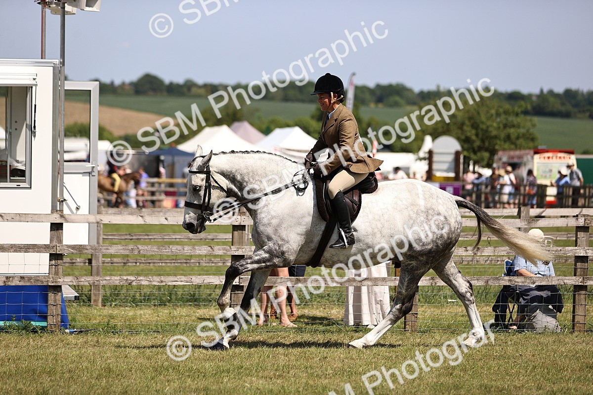 SBM_17736 - Class 81-83 - TSR Ridden Amateur of the Year - Horses