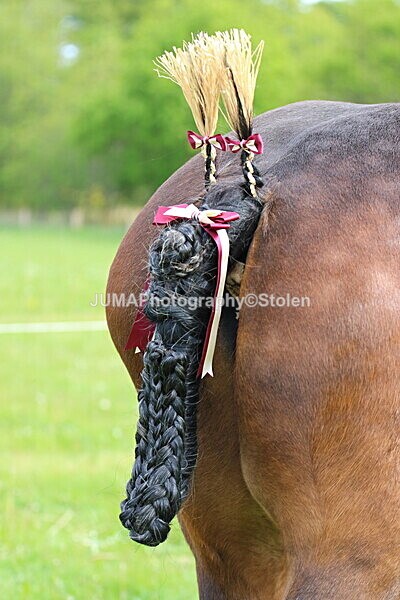 SIAL2825 - Ring 3 and 4