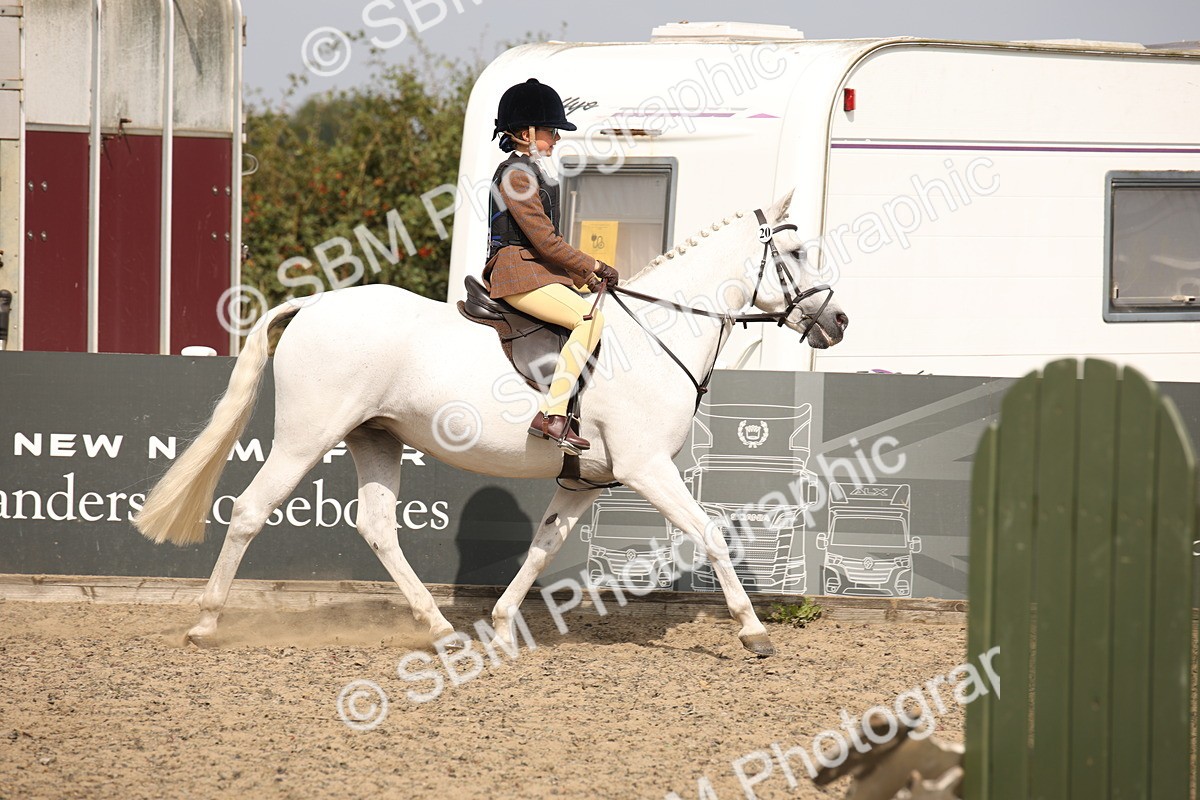 SBM_14251 - Class 407b - Working Veteran 60cm (20+)