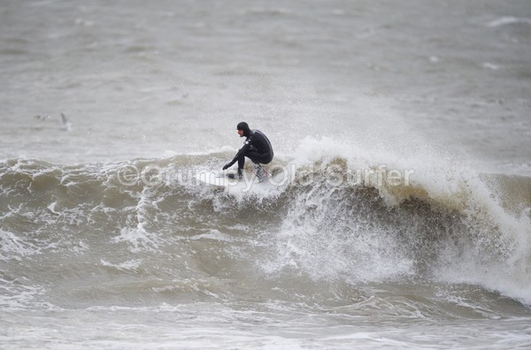 DSC_9669 - Llyn Peninsular 8th February 2016
